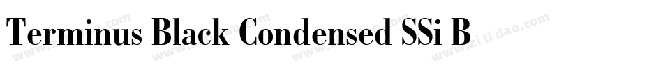 Terminus Black Condensed SSi Bold Condensed字体转换